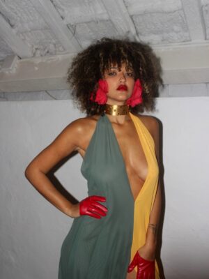 Vestido Tucán
